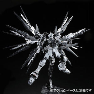 RG Strike Freedom Gundam (Deactive Mode) - P-Bandai Exclusive