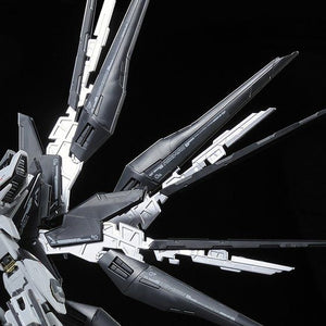 RG Strike Freedom Gundam (Deactive Mode) - P-Bandai Exclusive