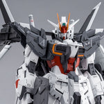 MG Gundam Ex Impulse -  P-Bandai