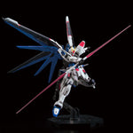 RG Freedom Gundam Ver.GCP - Gundam Base/P-Bandai Exclusive