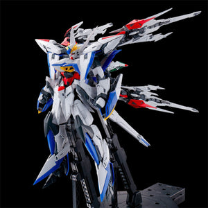 MG Maneuver Striker for Eclipse Gundam -  P-Bandai