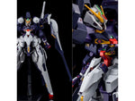 HGUC Gundam TR-6 (Haze'n-thley II-Rah) Advance of Zeta: The Flag of Titans P-Bandai