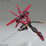 HGBB#010 Gundam Astray Red Frame Inversion