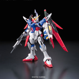 11 RG Destiny Gundam