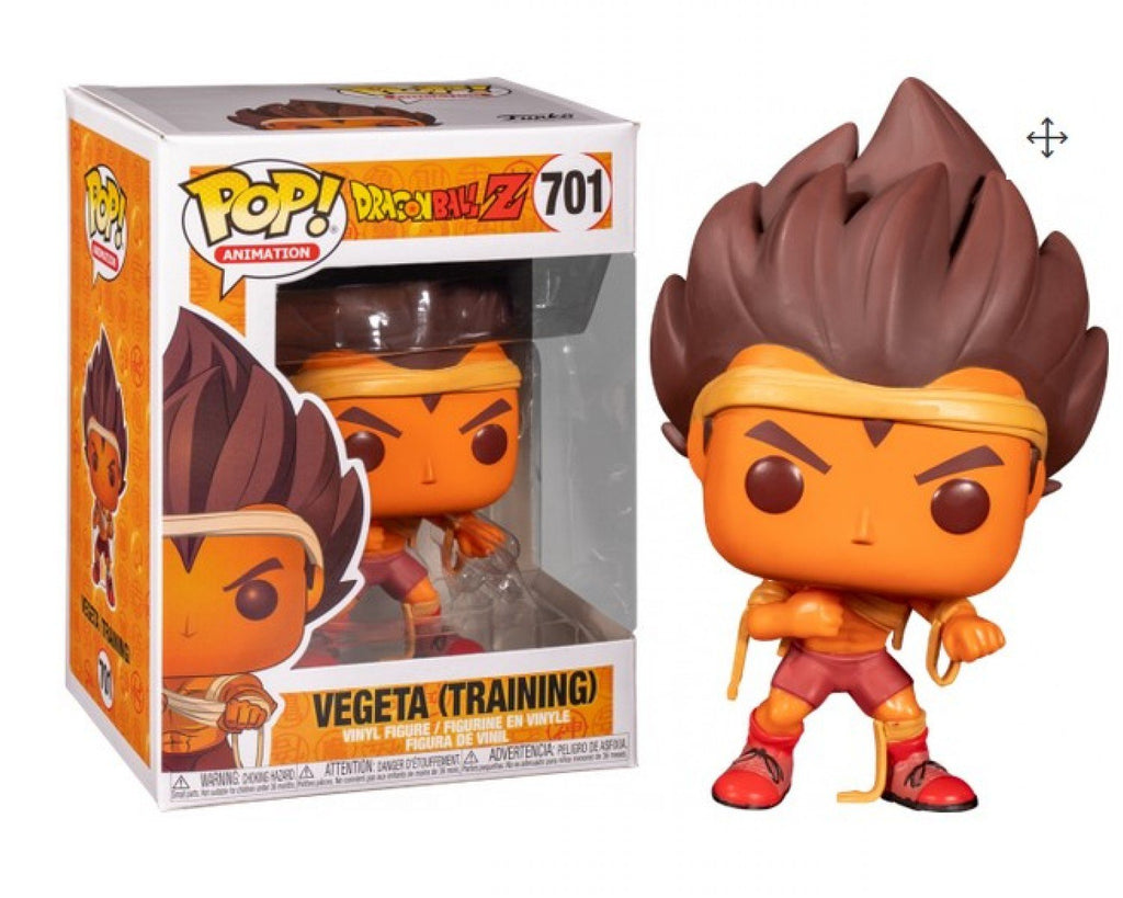 701 Dragonball Z: Training Vegeta